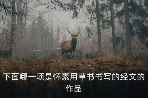 下面哪一項是懷素用草書書寫的經文的作品