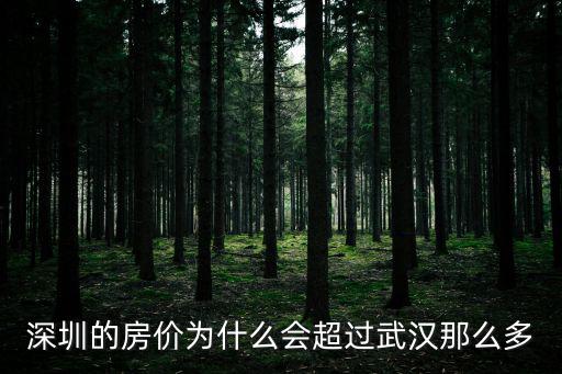 深圳的房價為什么會超過武漢那么多