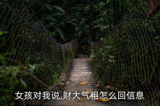 女孩對我說,財大氣粗怎么回信息