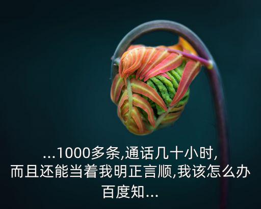 明正言順,明成祖朱棣用水師巡視四海斬斷復國楚...