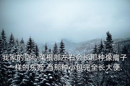 瘤子初期照片,因沒及時護理導致病情復發狗子又長兩個瘤子