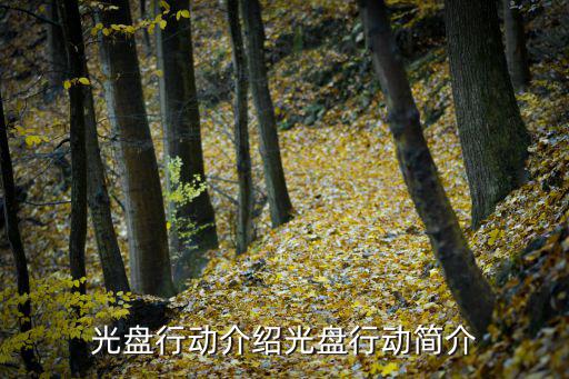 光盤行動介紹光盤行動簡介