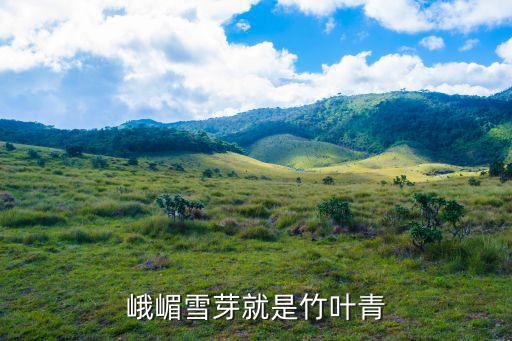 峨眉竹葉青,峨眉山綠茶和竹葉青之別