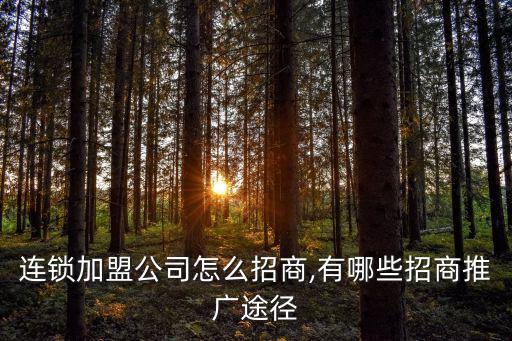 招商加盟方案,招商加盟需要哪些系統?