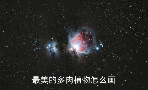 最美的多肉植物怎么畫
