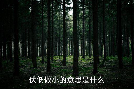 低聲下氣的意思,阿阿伏低做小劉端敏哈哈大笑