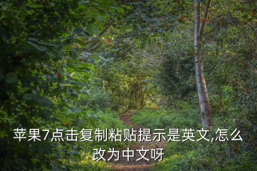 蘋果7點(diǎn)擊復(fù)制粘貼提示是英文,怎么改為中文呀