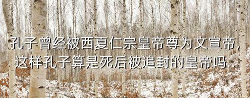 孔子曾經被西夏仁宗皇帝尊為文宣帝,這樣孔子算是死后被追封的皇帝嗎...
