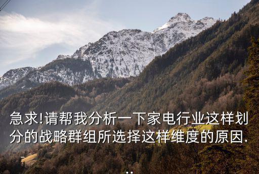 急求!請(qǐng)幫我分析一下家電行業(yè)這樣劃分的戰(zhàn)略群組所選擇這樣維度的原因...