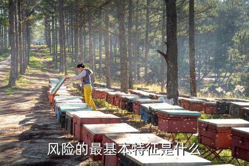 風險的最基本特征是什么