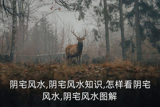陰宅風(fēng)水,陰宅風(fēng)水知識,怎樣看陰宅風(fēng)水,陰宅風(fēng)水圖解