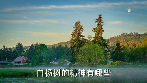白楊樹的精神有哪些