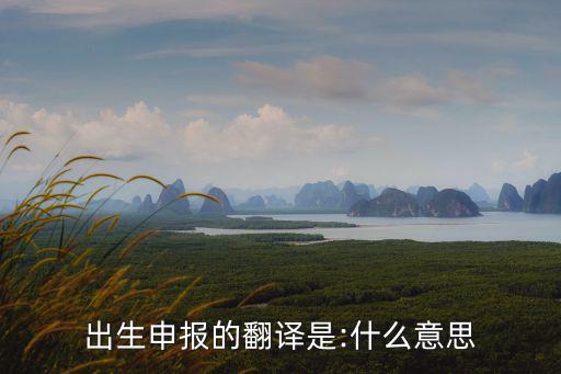 出生申報的翻譯是:什么意思