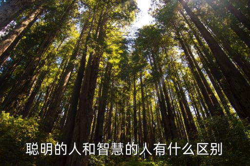 聰明的人和智慧的人有什么區(qū)別