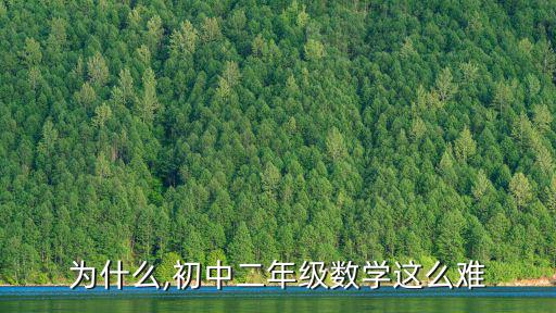 為什么,初中二年級數學這么難