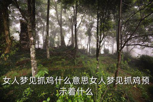 女人夢見抓雞什么意思女人夢見抓雞預(yù)示著什么