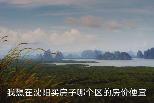 沈陽哪個小區房價便宜，沈陽林韻春天為什么便宜