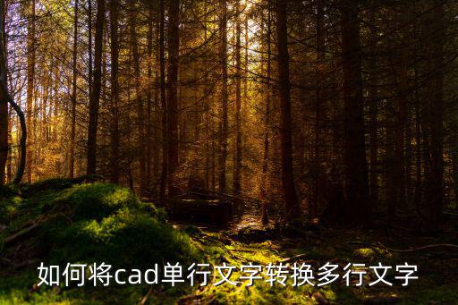 如何將cad單行文字轉換多行文字