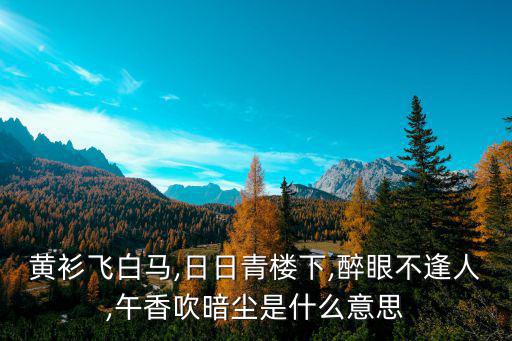 醉朦朧,人生難得幾相逢醉友相遇