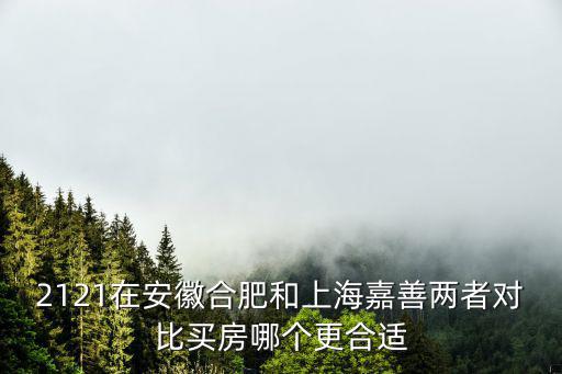 2121在安徽合肥和上海嘉善兩者對比買房哪個更合適