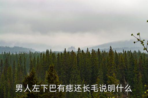 男人左下巴有痣還長毛說明什么