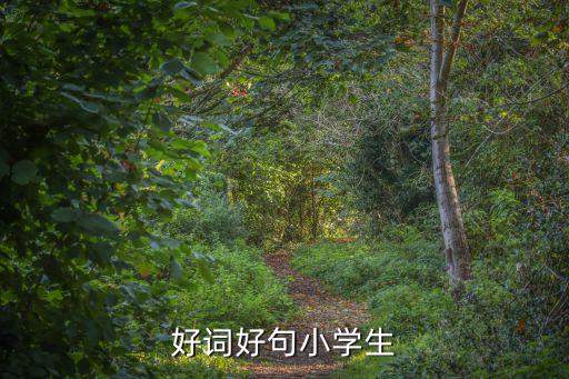 好詞好句小學(xué)生