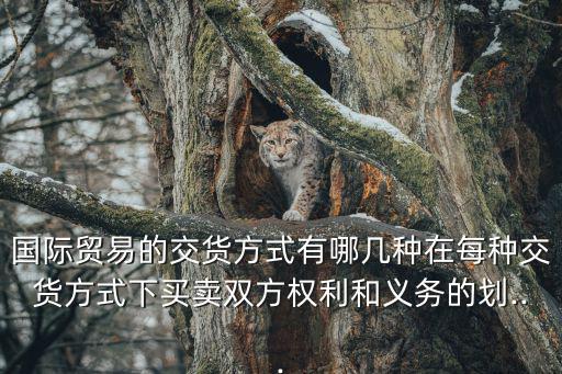 國際貿(mào)易的交貨方式有哪幾種在每種交貨方式下買賣雙方權(quán)利和義務(wù)的劃...