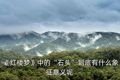《紅樓夢》中的“石頭”到底有什么象征意義呢
