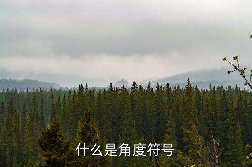 什么是角度符號