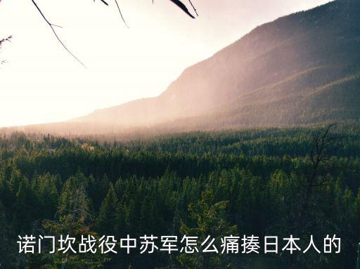 諾門坎戰役,諾門坎戰役:偽滿警備隊開槍射殺蒙古牧民
