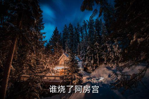 誰燒了阿房宮