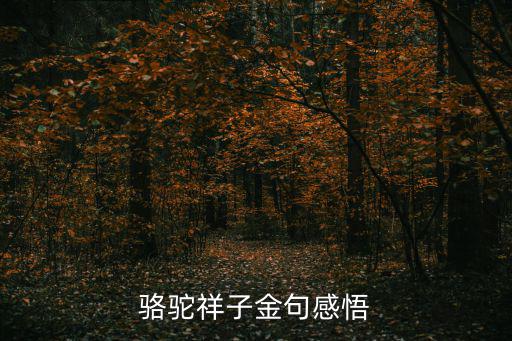 駱駝祥子金句感悟
