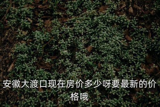 大渡口哪個小區房價最便宜，安徽大渡口現在房價多少呀要最新的價格哦