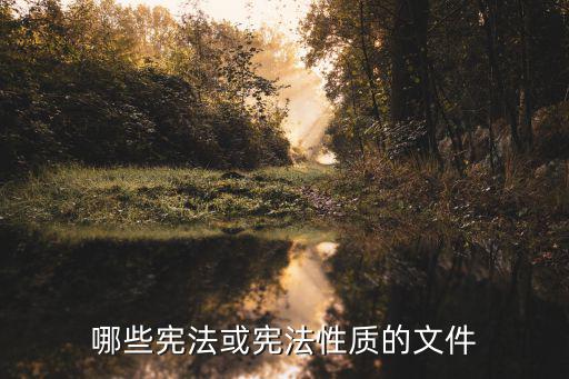 哪些憲法或憲法性質(zhì)的文件