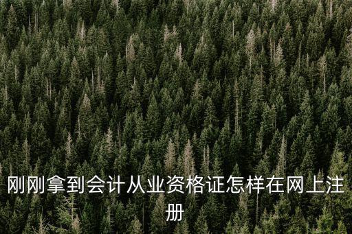 剛剛拿到會計從業資格證怎樣在網上注冊