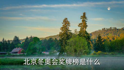 北京冬奧會獎牌榜是什么