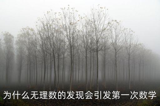 無理數的發現,無理數引發西方數學危機沖擊畢達哥拉斯學派