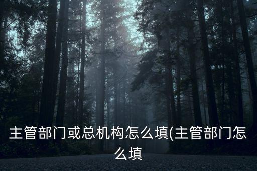 部門怎么填寫,主管部門或總機構怎么填