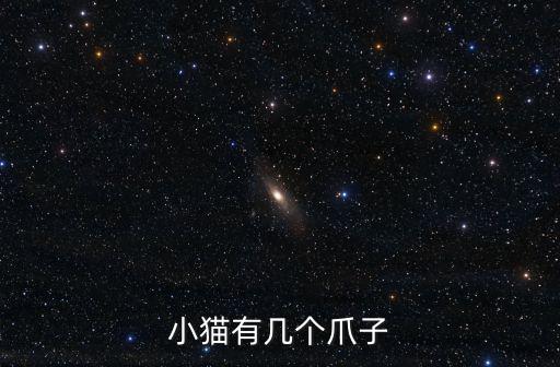 小貓有幾個(gè)爪子