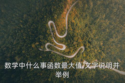 數學中什么事函數最大值,文字說明并舉例