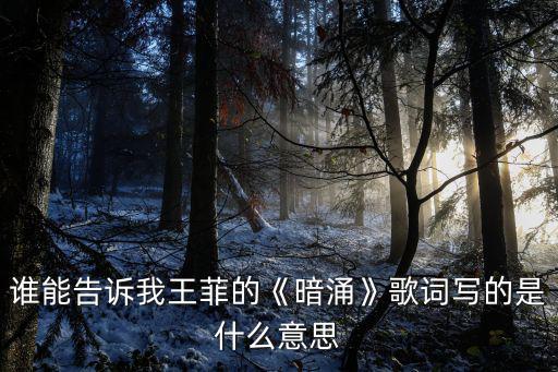 誰能告訴我王菲的《暗涌》歌詞寫的是什么意思
