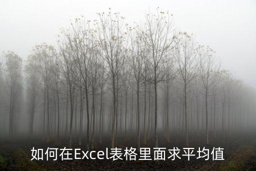 如何在Excel表格里面求平均值