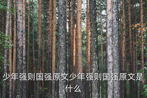 少年強則國強原文少年強則國強原文是什么