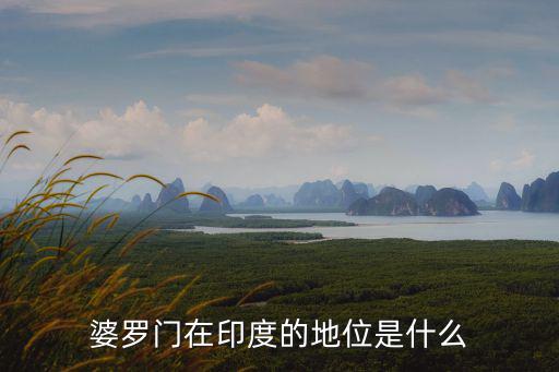 印度婆羅門,印度種姓制度:婆羅門是最高等級(jí)的種姓
