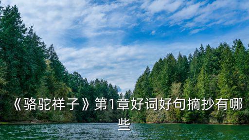 駱駝祥子好句摘抄,《駱駝祥子》第一章好詞好句摘抄有哪些