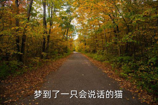 夢見貓會說話,夢見貓會說話會保護(hù)我代表坎坷多難不可大投資