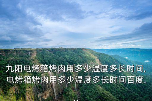 九陽電烤箱烤肉用多少溫度多長時間,電烤箱烤肉用多少溫度多長時間百度...