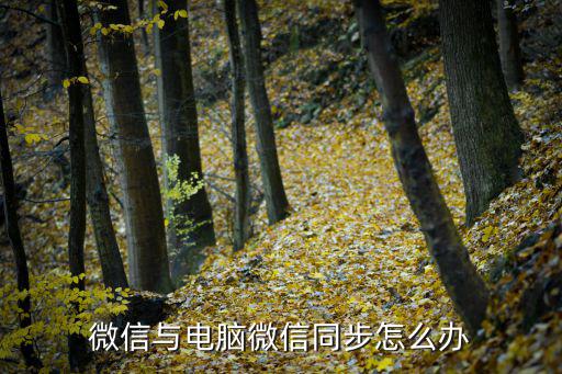 微信與電腦微信同步怎么辦