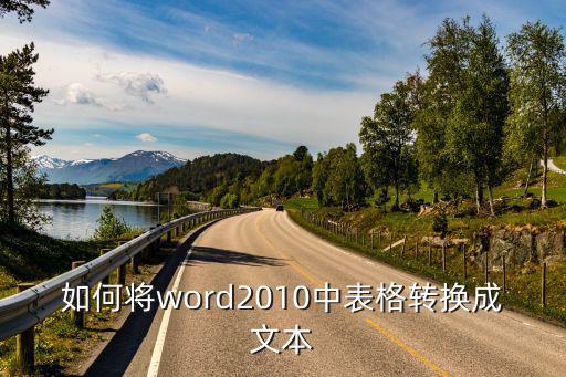 如何將word2010中表格轉換成文本