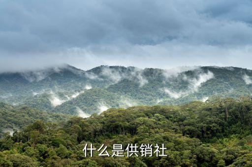 什么是供銷社